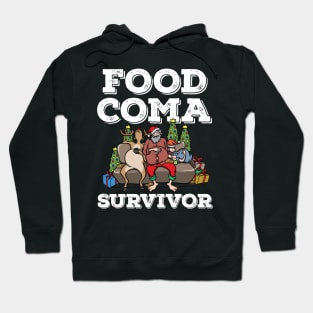 Foodie Gifts Santa Claus Food Coma Funny Christmas Pun Hoodie